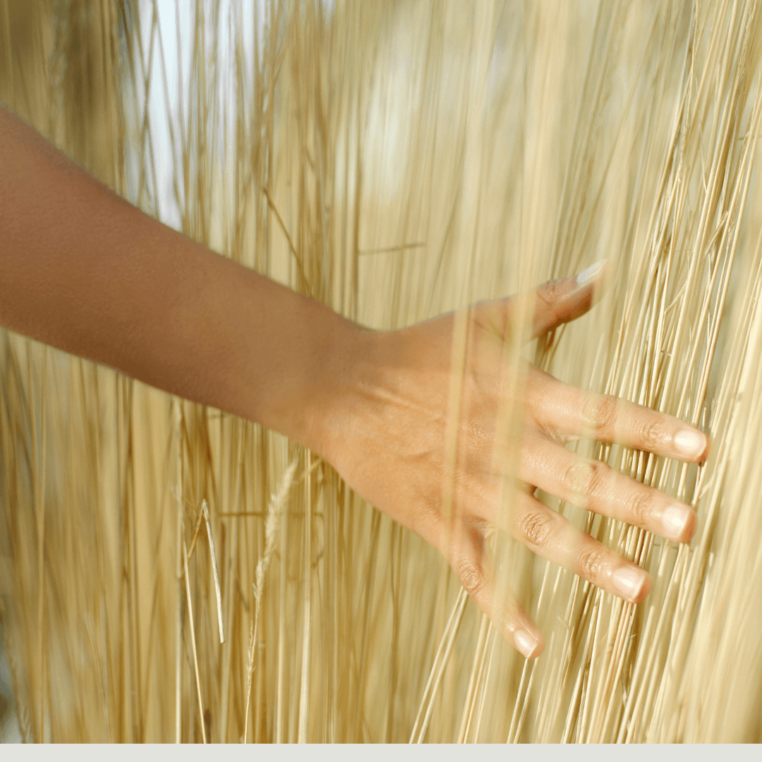 Afbeelding van Namashea met close up van hand dat door koren veegt voor de blog een overprikkeld brein