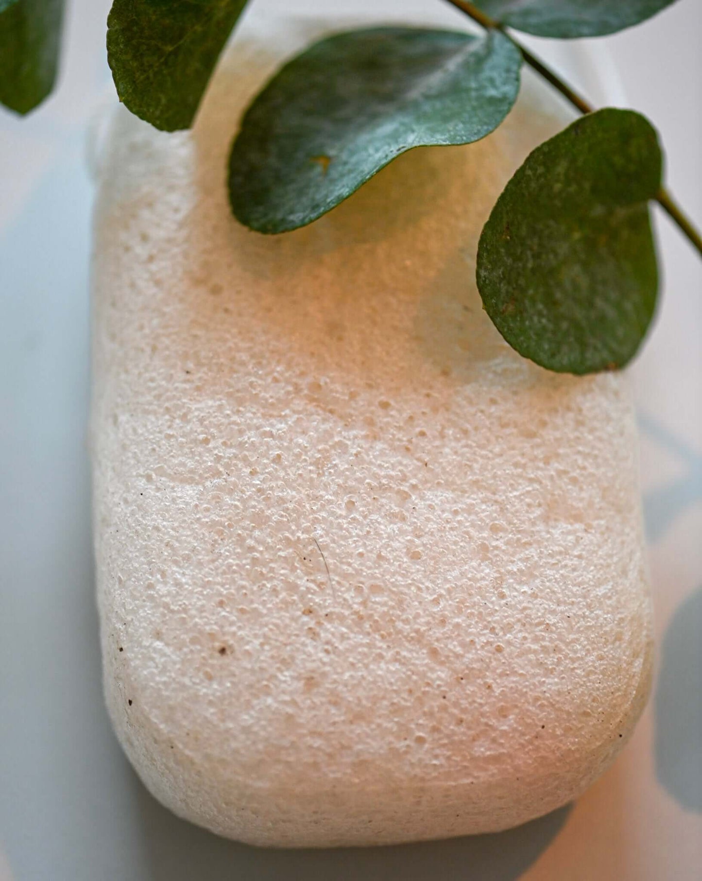 Body konjac sponge pure