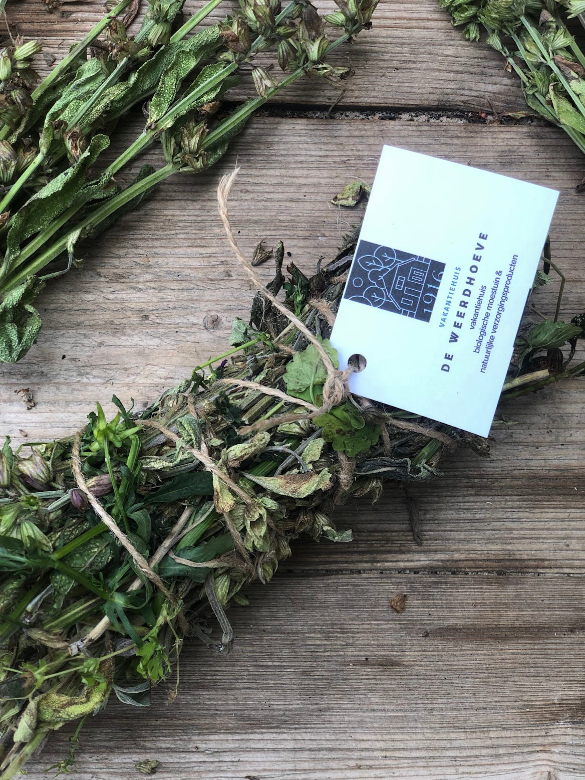 Slapen bij Namashea - Natuurhuisje voor 2 personen